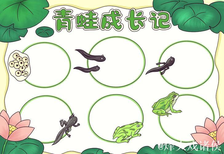 从“小蝌蚪”到“窝蝌蚪”:探索奇妙生态世界 从“小蝌蚪”到“窝蝌蚪”:探索奇妙生态世界