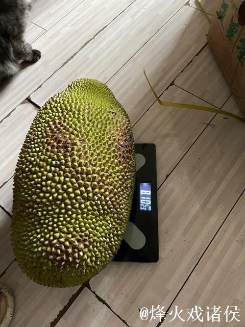 BLM6XYZ菠萝蜜精彩视频分享平台 BLM6XYZ菠萝蜜精彩视频分享平台